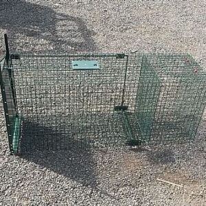 Fox Trap