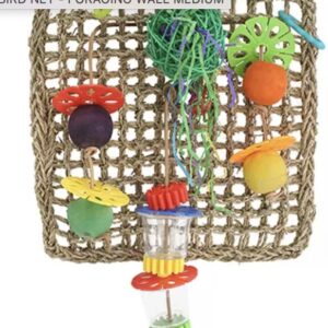 Net Foraging Wall