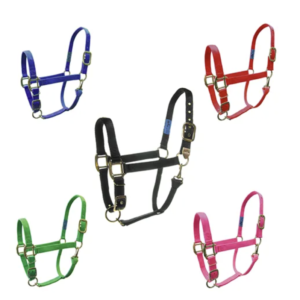 Adjustable horse halters