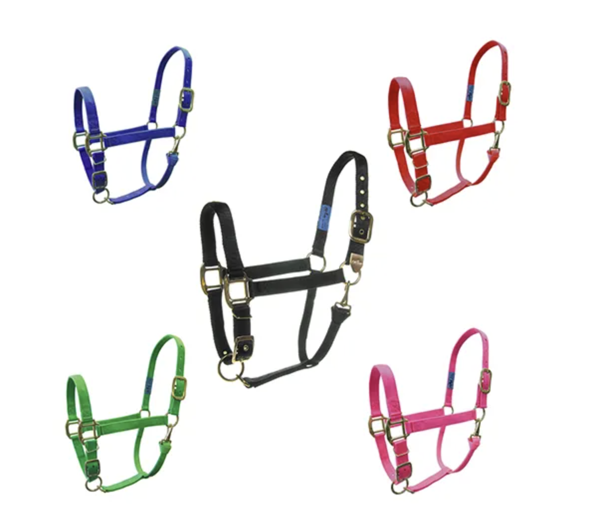 Adjustable horse halters - Heritage Poultry and Produce