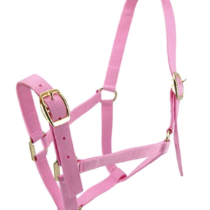 Horse halters - cob and pony