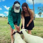 Heritage Farm Animal Nursery