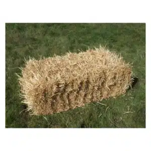 Barley Straw