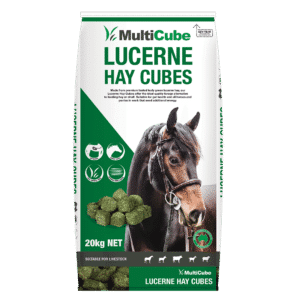 Lucerne Hay Cubes